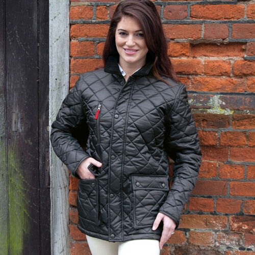 Blusão Cheltenham Gold – Image 7