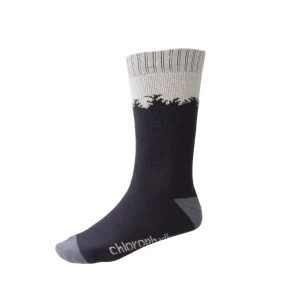 Bas Chlorophylle Adultes - FORET