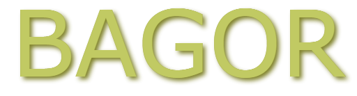 Looks femme & sacs tendance : tuniques, sweats, T-shirts et plus