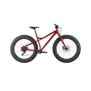GROS LOUIS 3 - FatBike pour adultes - Louis Garneau